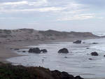 Some of those rocks in the distance are really seals