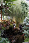 Highlight for Album: Botanical Gardens