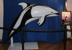 Highlight for Album: Marineland Exhibit at PVIC