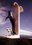 Highlight for Album: Misc Marineland