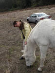 Brett with one of the horses