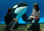 At SWC with Sumar, 2004